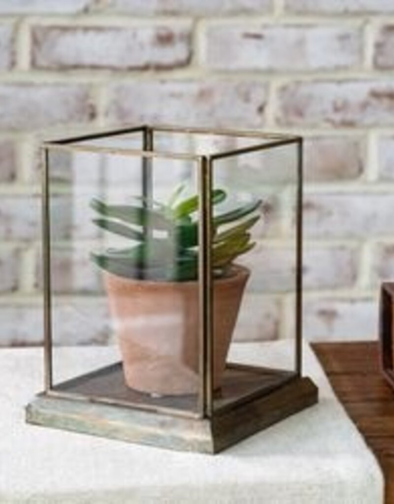 Aged Antique Glass Displayer