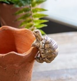 3" Turtle Pot Hanger
