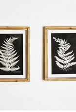 15.75" Fern Wall Decor