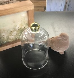 Bell Shaped Cloche w/Gold Knob, 6"