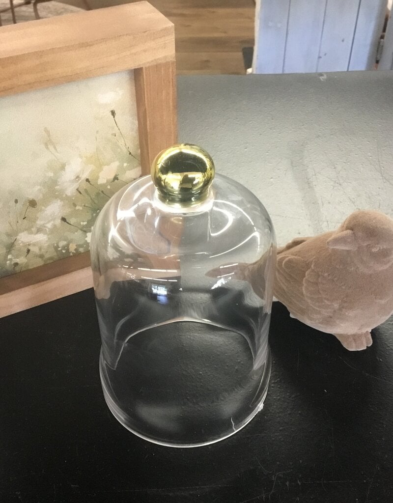 Bell Shaped Cloche w/Gold Knob, 6"