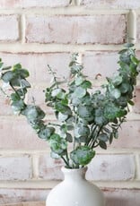 Eucalyptus Spray