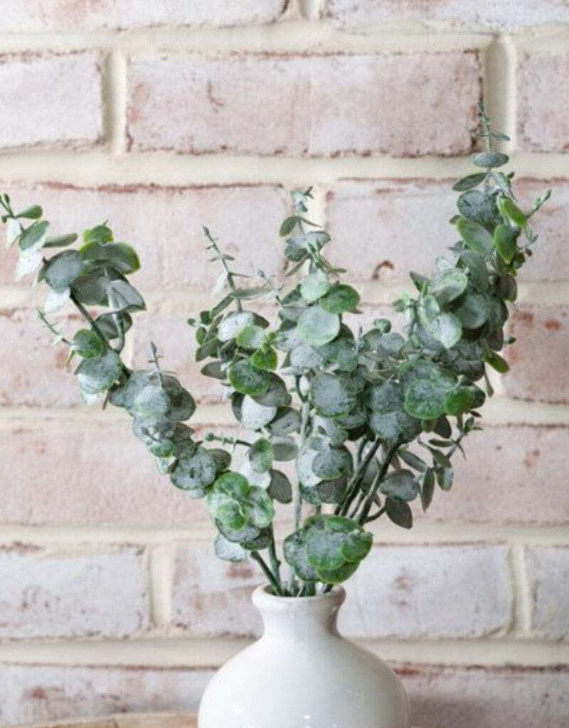 Eucalyptus Spray