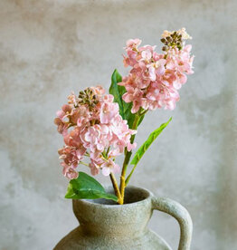 26" Pink Cone Hydrangea Stem