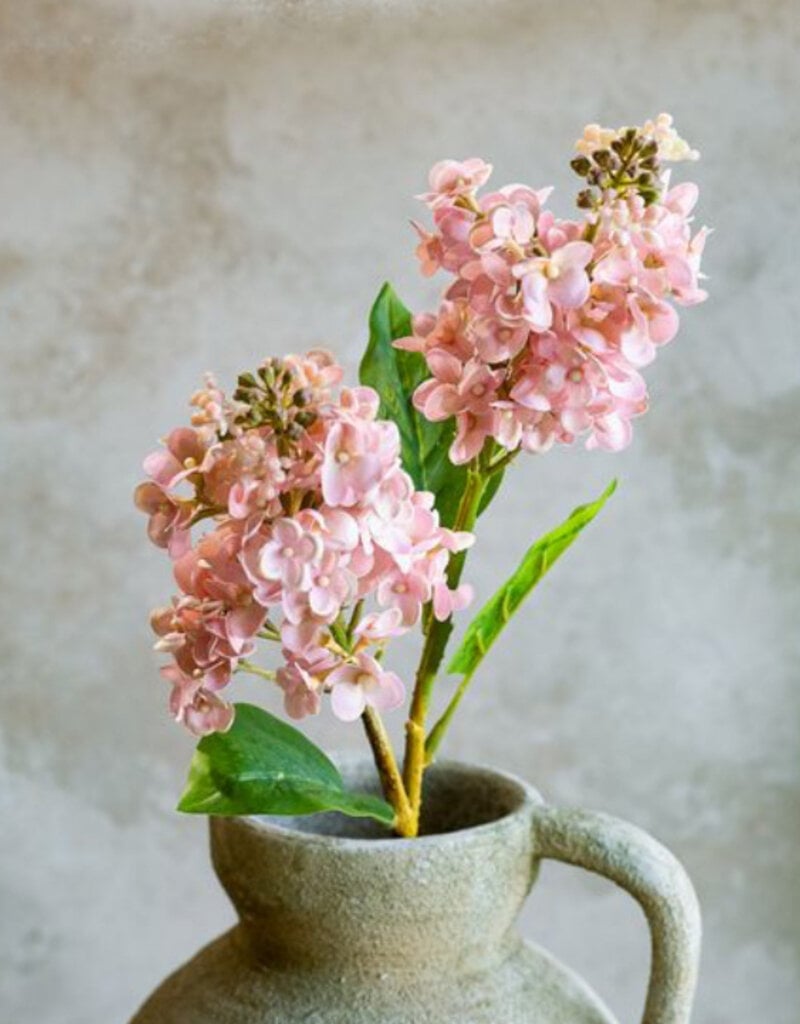 26" Pink Cone Hydrangea Stem
