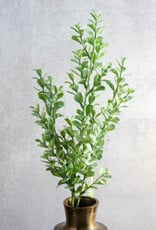 26" Eucalyptus Bunch