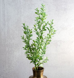 26" Eucalyptus Bunch