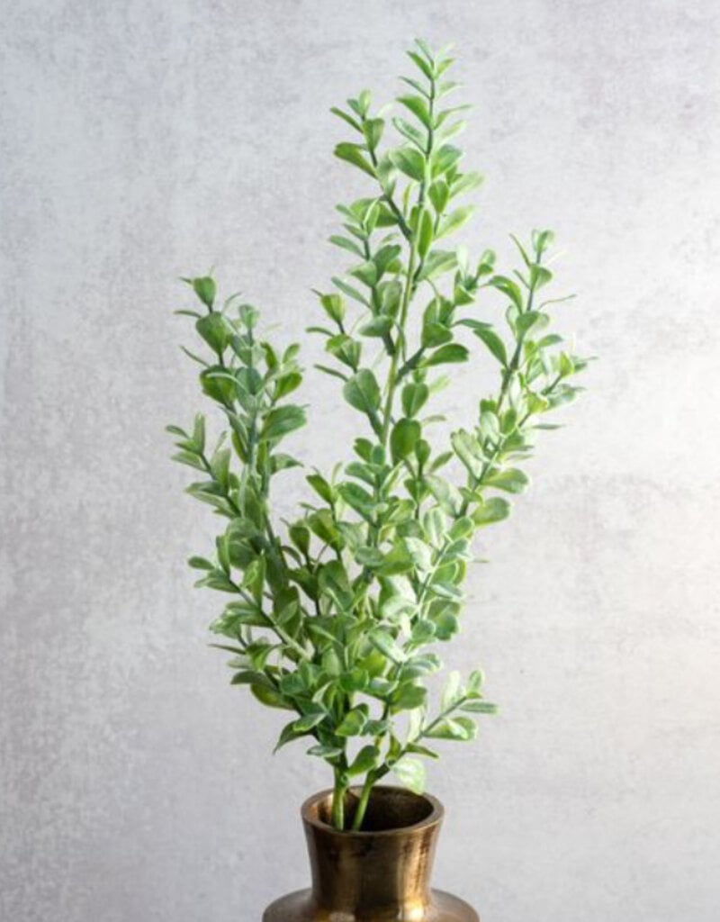 26" Eucalyptus Bunch