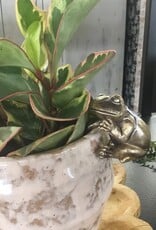 3" Polyresin Frog Pot Hanger