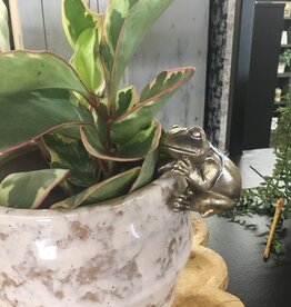 3" Polyresin Frog Pot Hanger