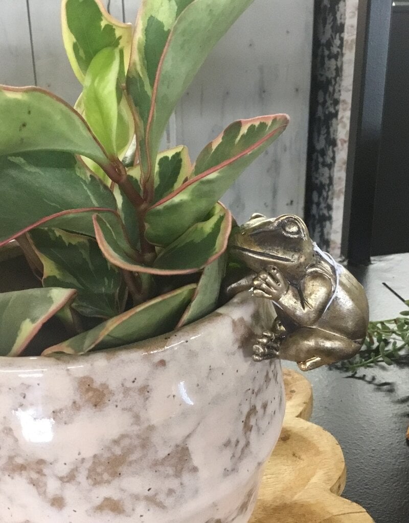 3" Polyresin Frog Pot Hanger