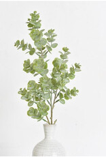 24.4" Eucalyptus