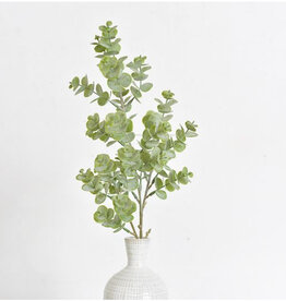 24.4" Eucalyptus