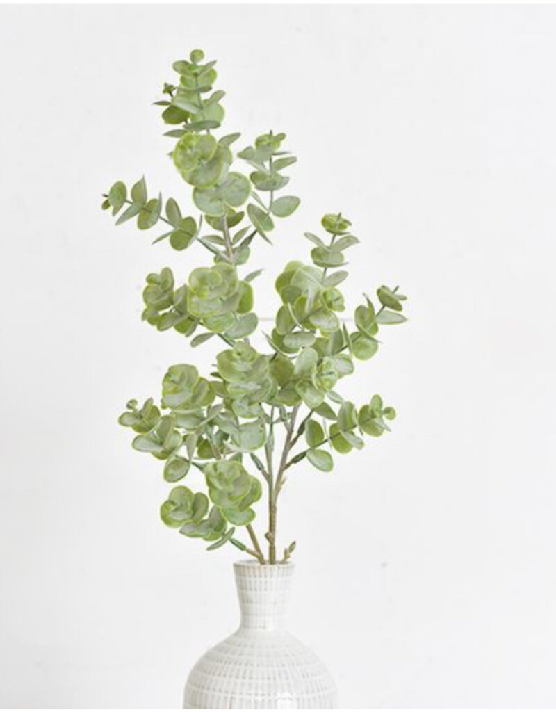 24.4" Eucalyptus