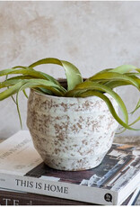 5.5" Bge/Wht Mottled Planter