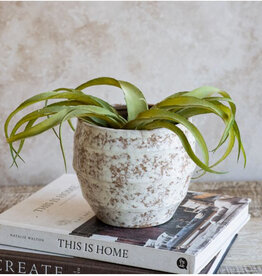 5.5" Bge/Wht Mottled Planter