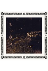 w.25th Davachi, Sarah: Pale Bloom LP