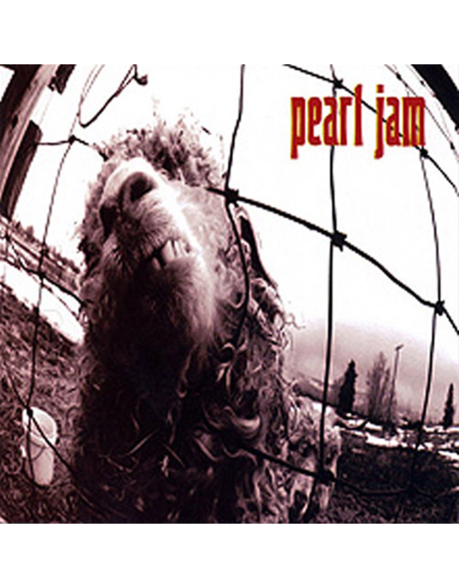 Epic Pearl Jam: Vs. LP