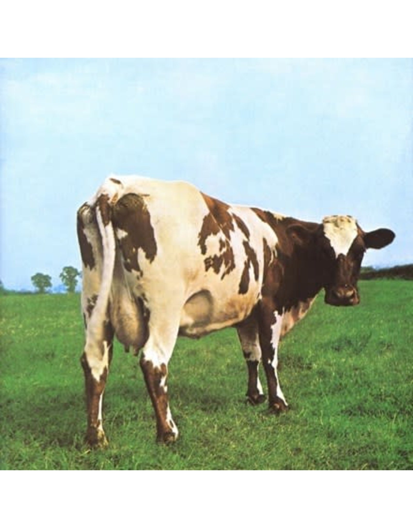atom heart mother pink floyd cover