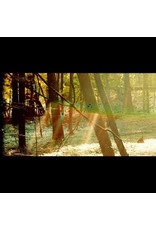 Glassnote Childish Gambino: Camp LP