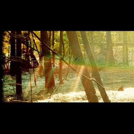 米2discs LP Childish Gambino Camp GLS012101 Glassnote (2) /00660 Childish Gambino: Camp LP - Listen Records