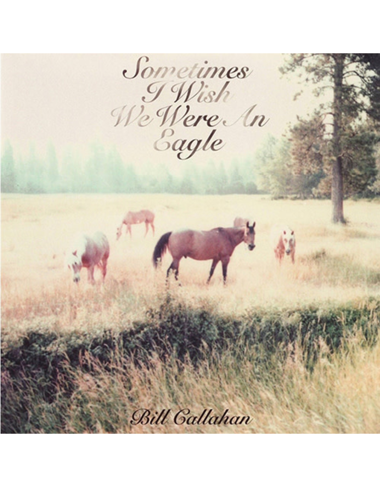 Drag City Callahan, Bill: Sometimes I Wish We LP
