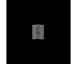 rhino-joy-division-unknown-