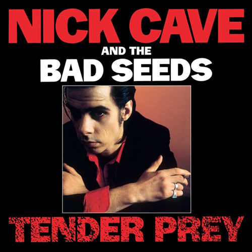 mute-cave-nick-the-bad-seeds-