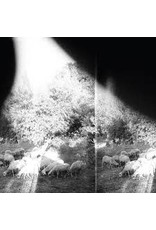 Constellation Godspeed You! Black Emperor: Asunder, Sweet And Other Distress LP