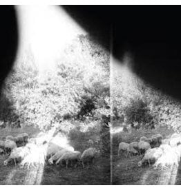 Constellation Godspeed You! Black Emperor: Asunder, Sweet And Other Distress LP