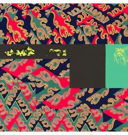 Aguirre Natural Information Society with Evan Parker: Descension (Out of Our Constrictions) LP