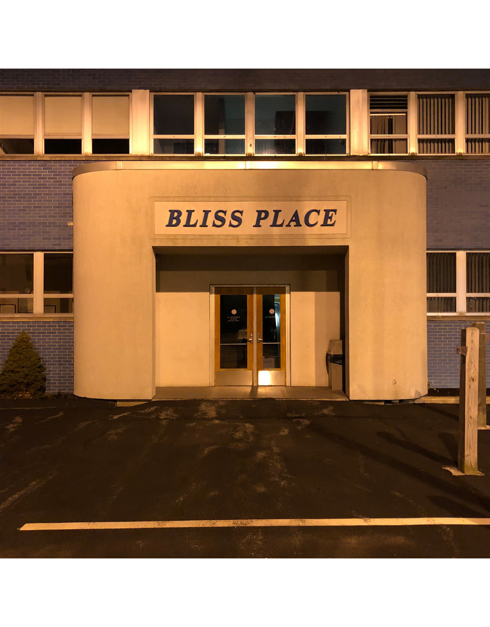 Full Bloom Brin & Josiah Steinbrick: Bliss Place LP