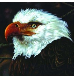 PIAS Mogwai: The Hawk Is Howling LP