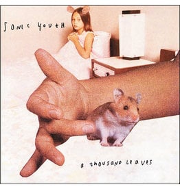 Goofin' Sonic Youth: A Thousand Leaves LP