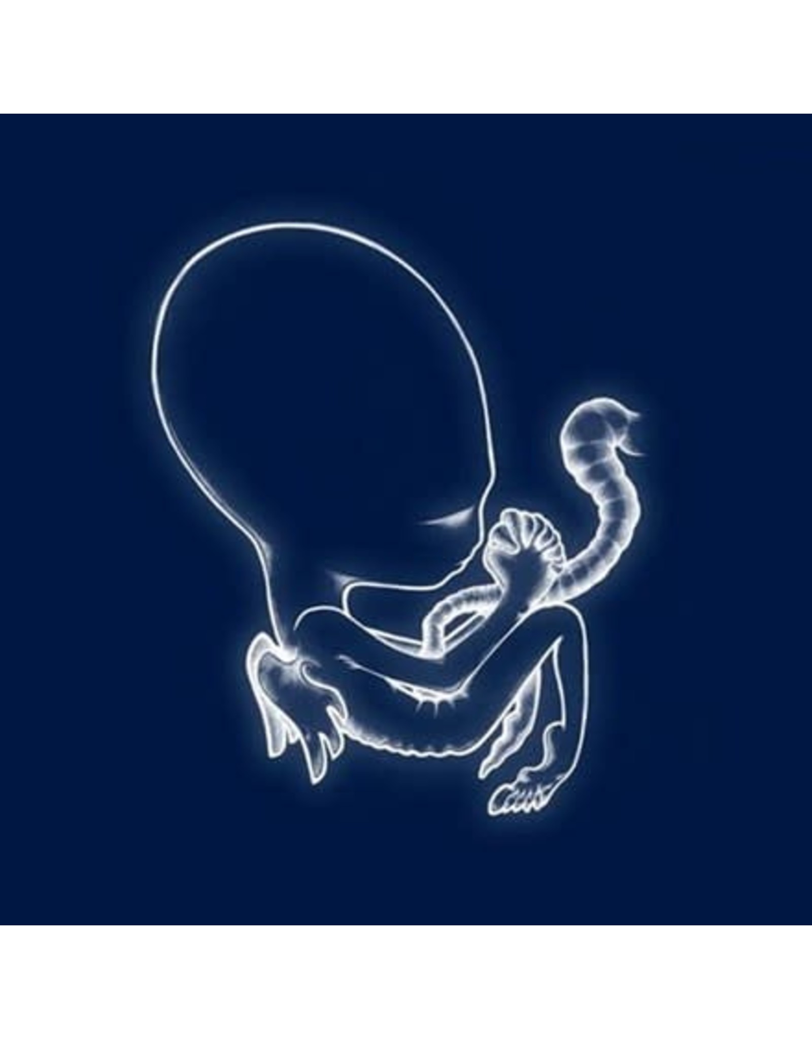 Krunk Sigur Ros: Ag Tis Byrjun LP