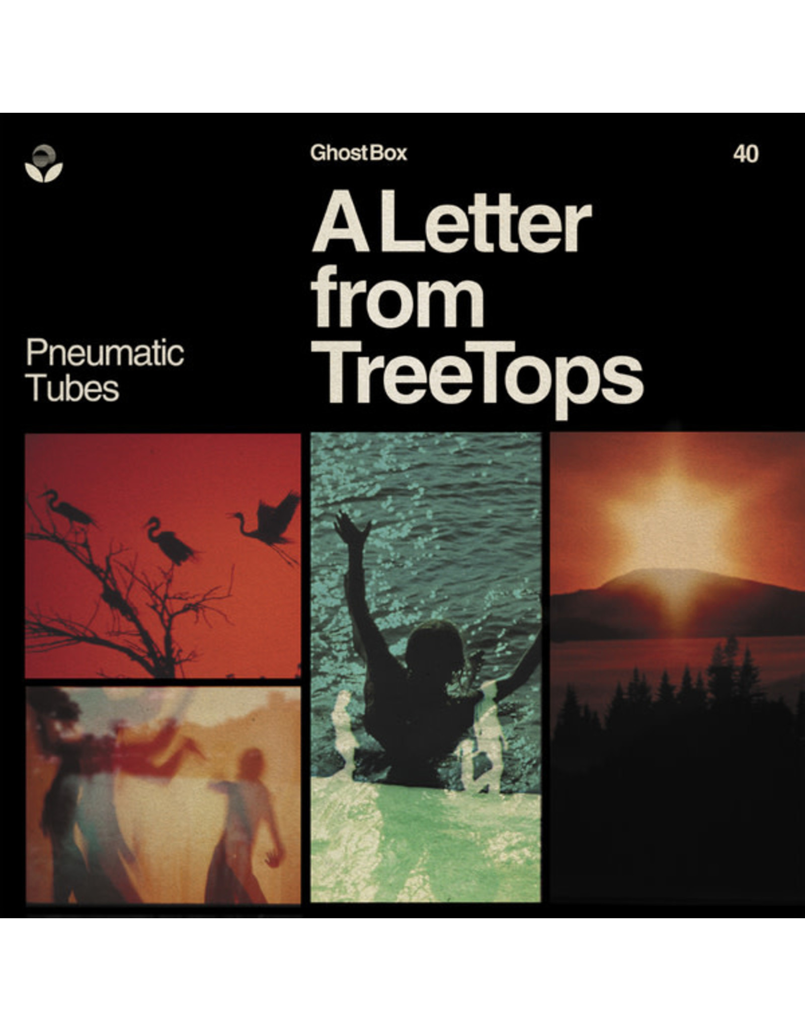 Ghost Box Pneumatic Tubes: A Letter from TreeTops LP