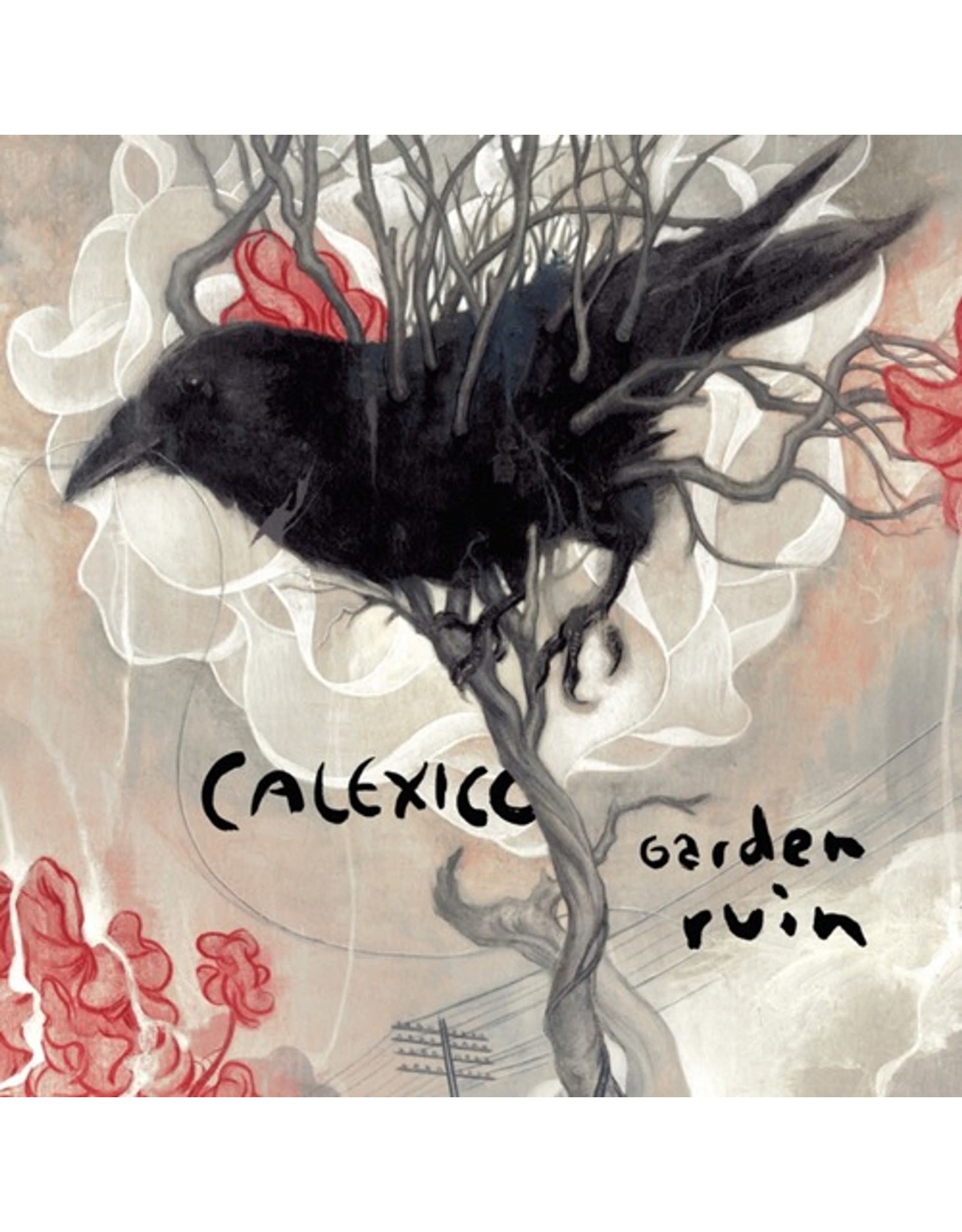 Calexico: Garden Ruin (silver & white) LP