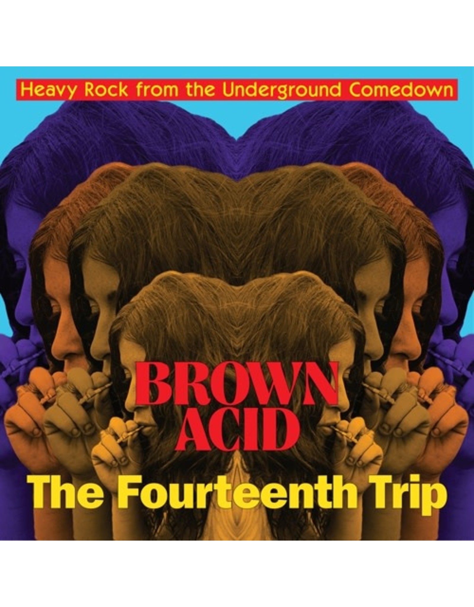 Riding Easy Various: Brown Acid - The Fourteenth Trip LP