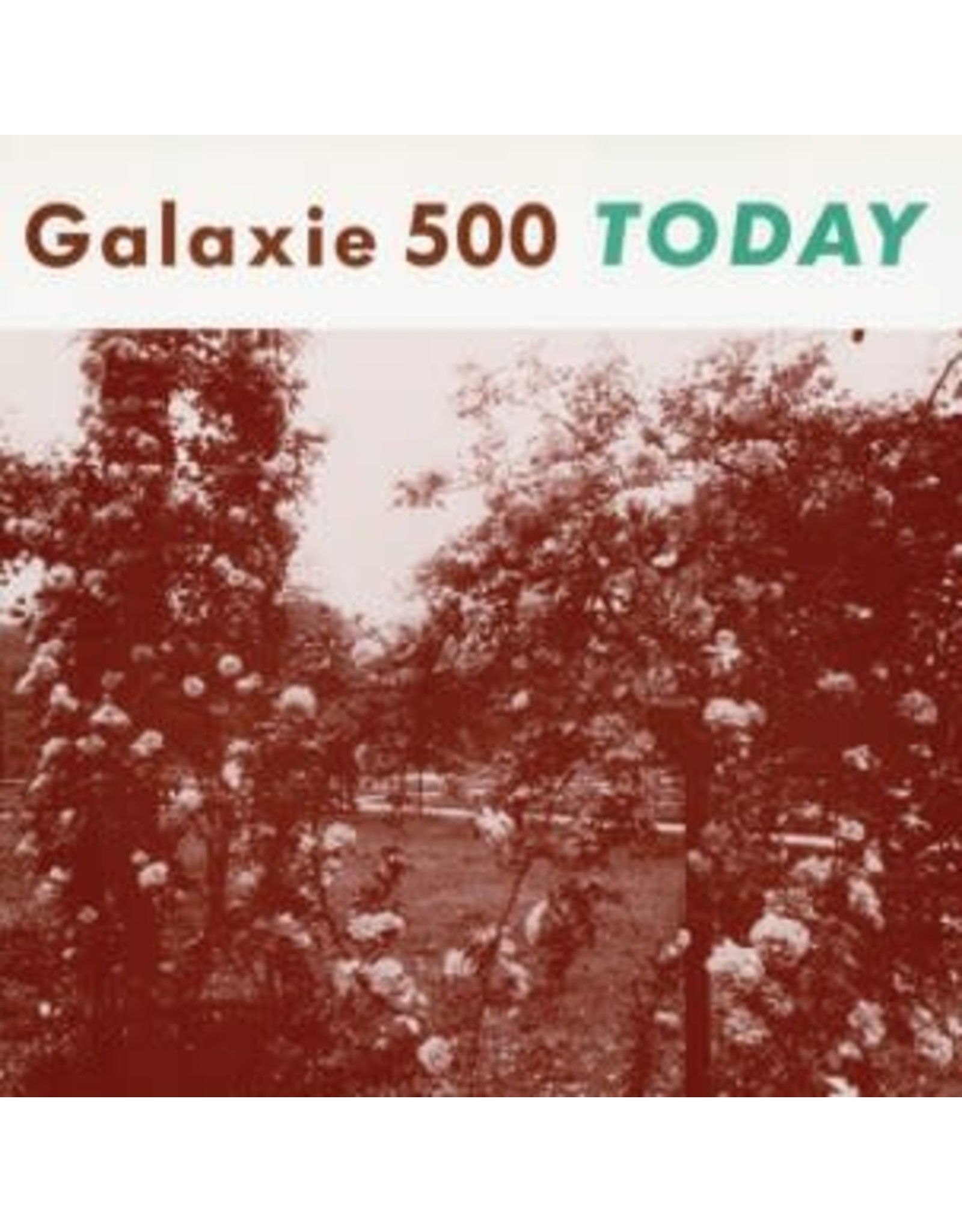 Galaxie 500: Today LP