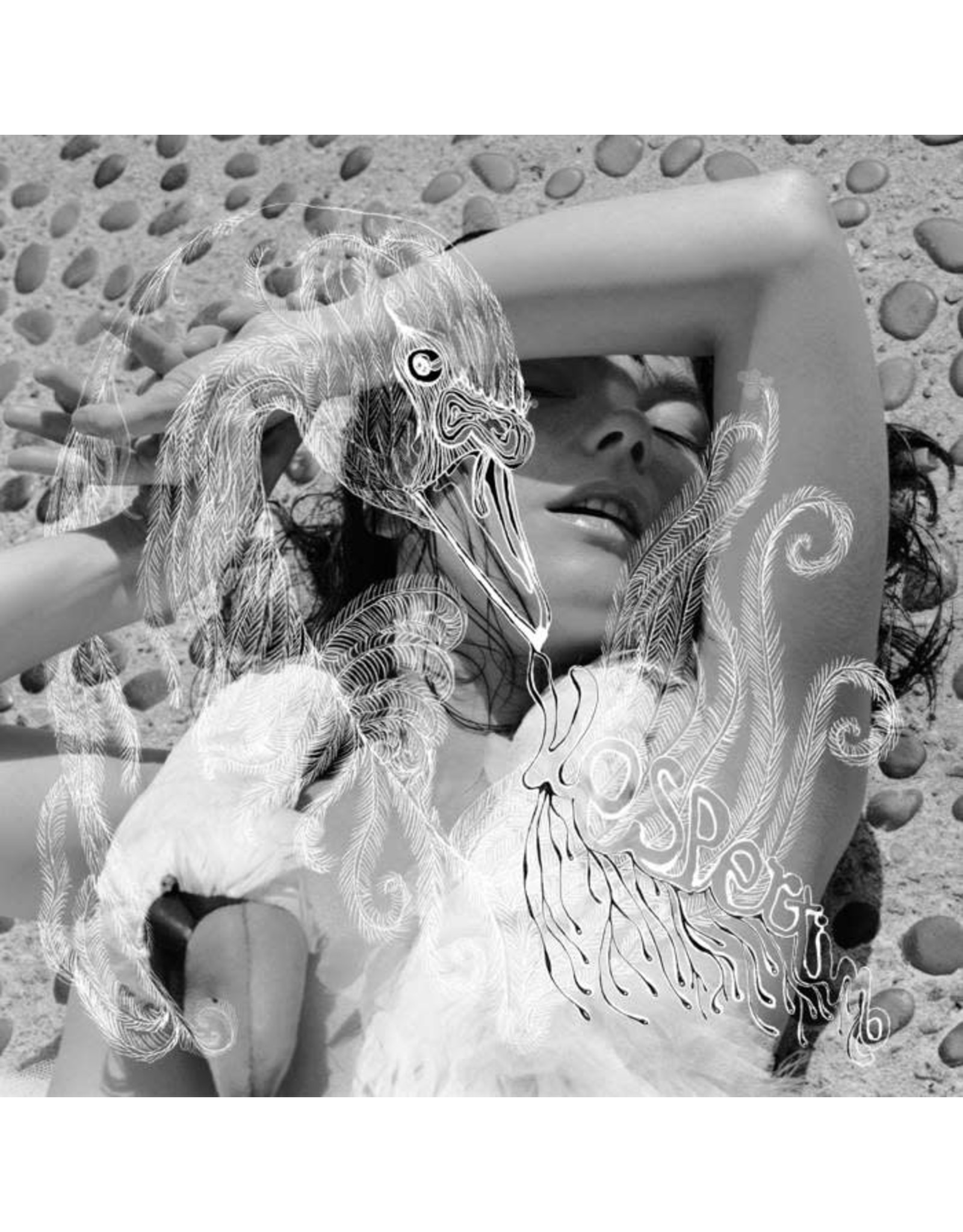 One Little Independent Bjork: Vespertine LP