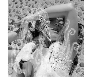 Björk Vespertine ポスター Bjork - 2001 - Vespertine - 50x70cm - Poster | eBay