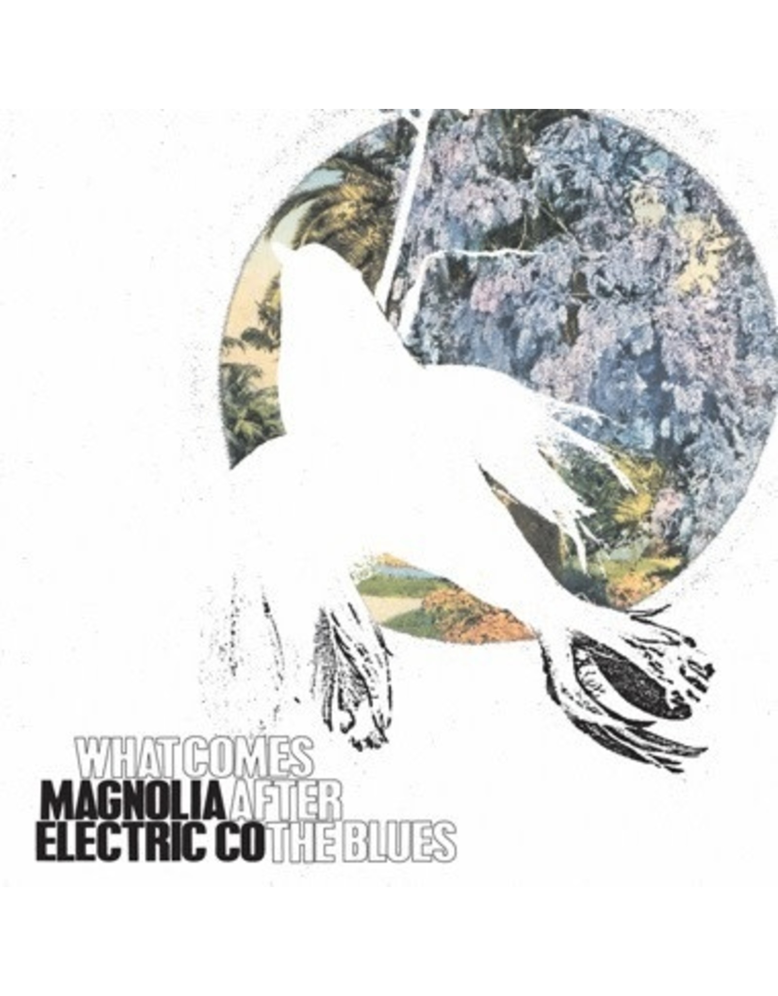 Secretly Canadian Magnolia Electric Co.: What Comes After The Blues LP