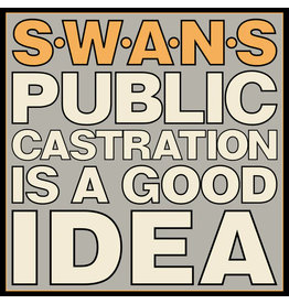 Mute Swans: Public Castration is a Good Idea LP