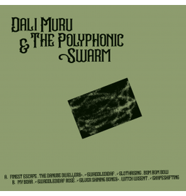 Stroom Dali Muru & The Polyphonic Swarm: s/t LP