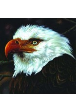 PIAS Mogwai: The Hawk Is Howling LP