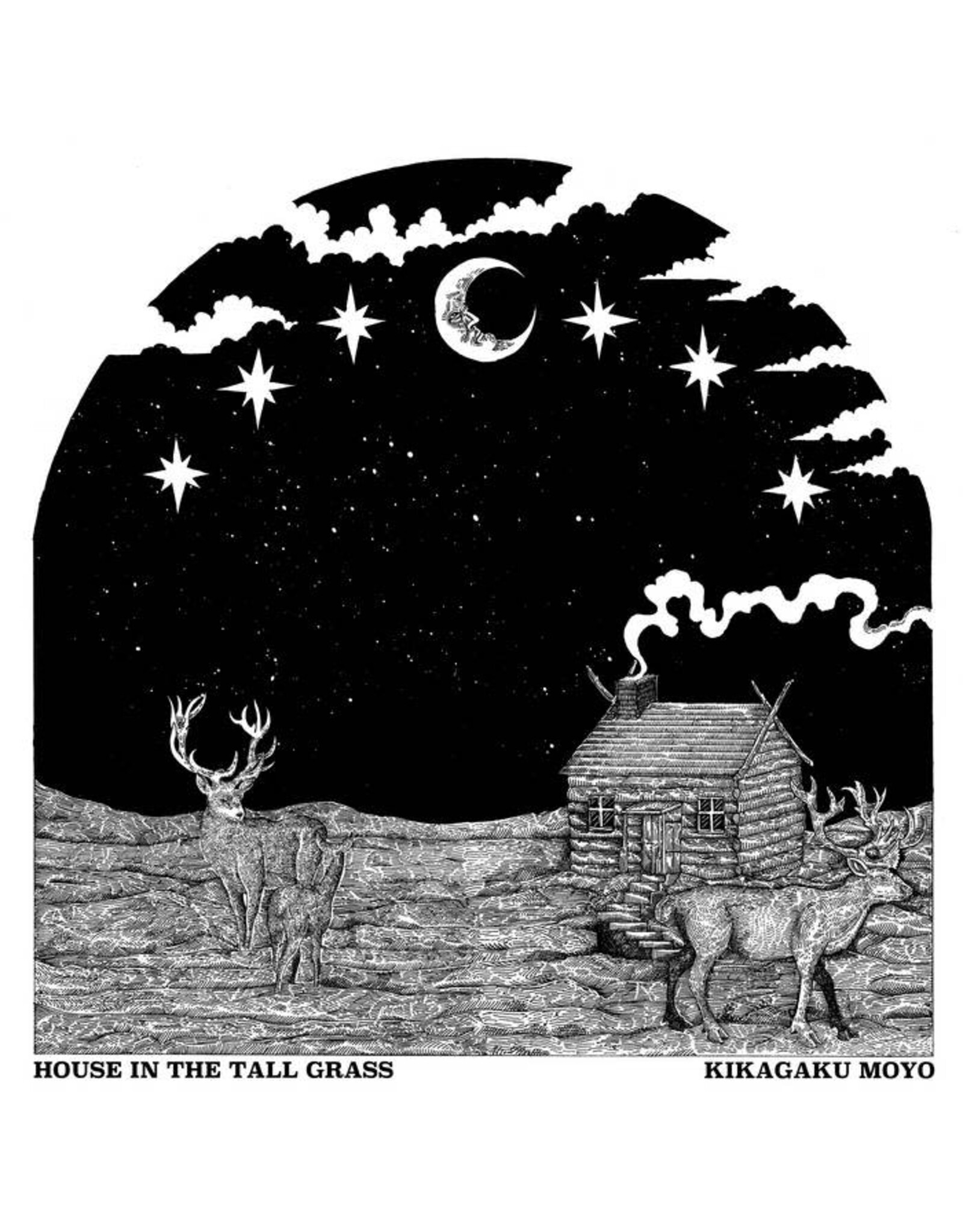 Guruguru Brain Kikagaku Moyo: House in the Tall Grass LP