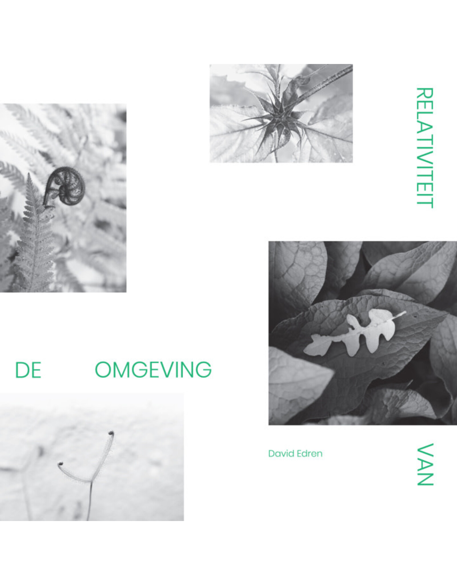 Not Not Fun Edren, David: Relativiteit Van De Omgeving LP