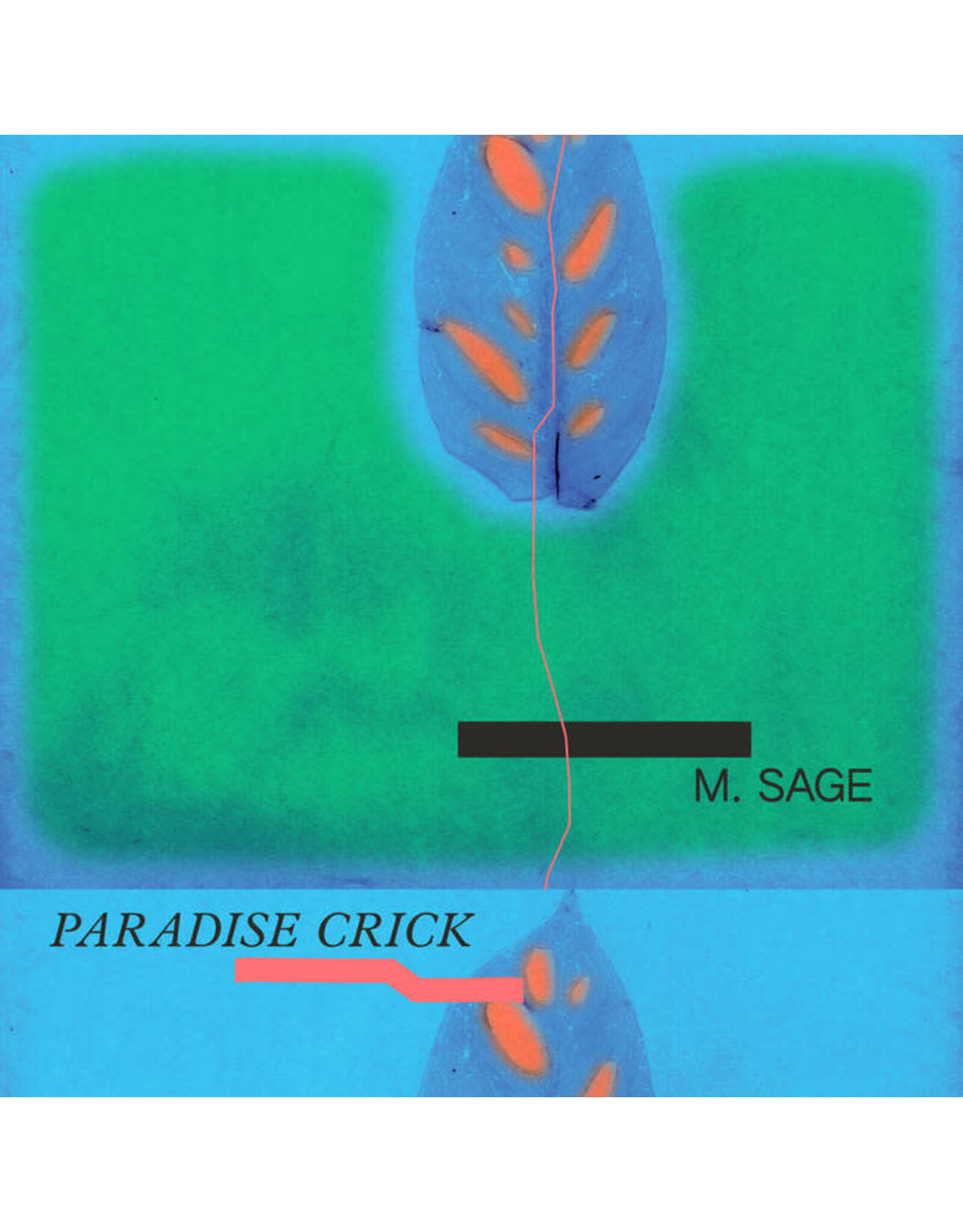 RVNG Intl. Sage, M.: Paradise Crick LP