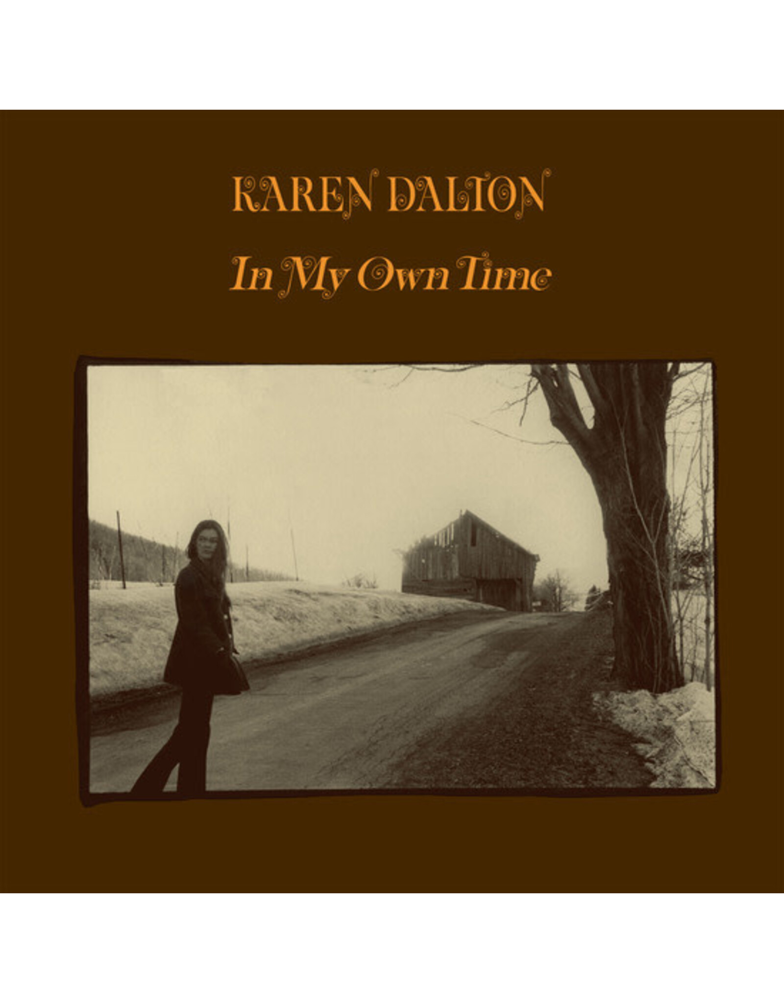 Light in the Attic Dalton, Karen: In My Own Time (Silver) LP