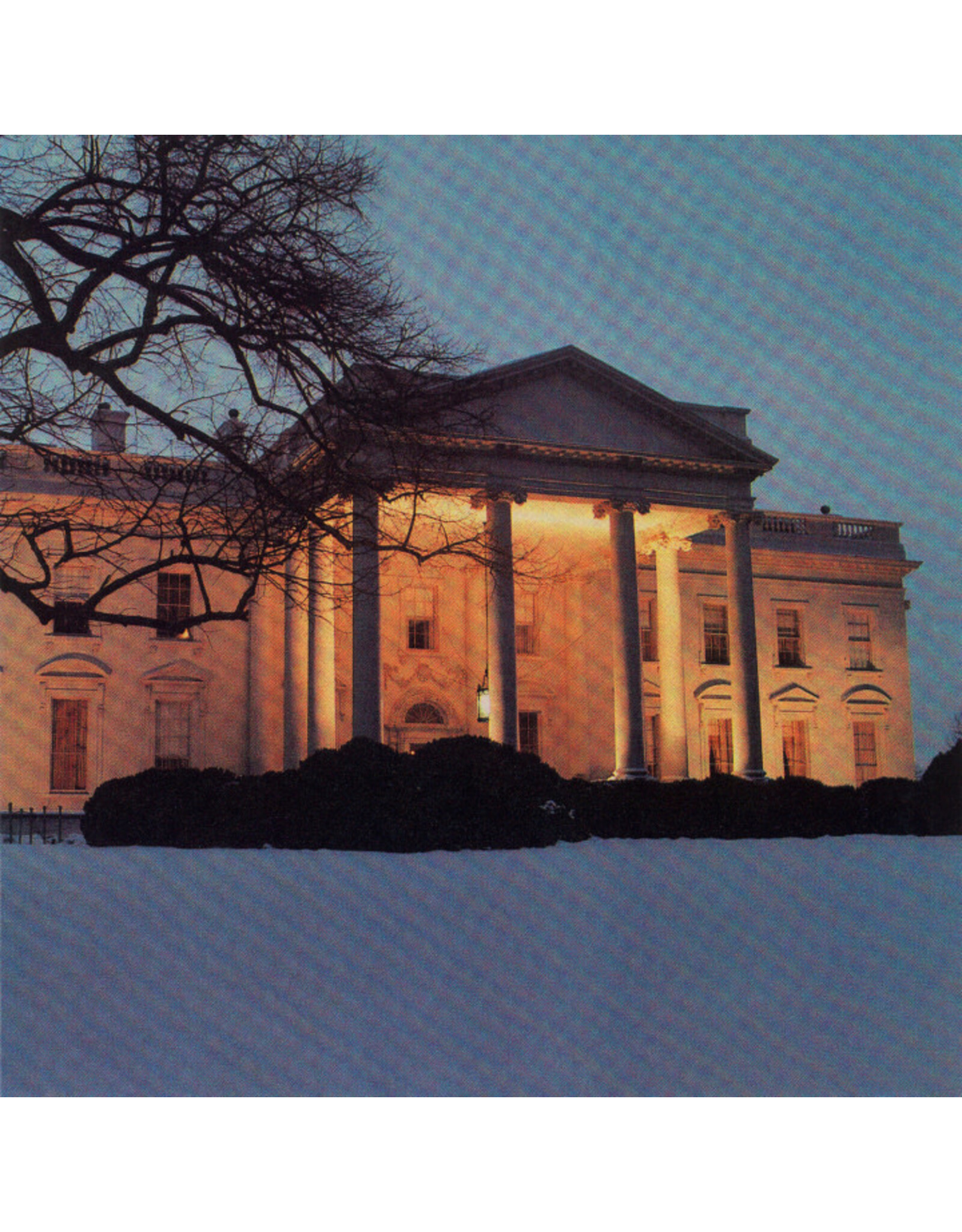 Ba Da Bing Dead C: The White House LP